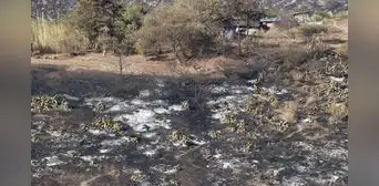 Incendios dejan campos destruidos en Cajamarca y San Martín