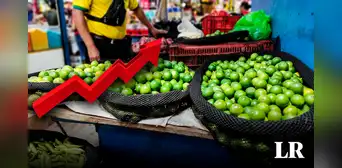 ¿Cuándo bajará el precio del limón en el Perú? Esto dice el Midagri ¿Cuándo bajará el precio del limón en el Perú? Esto dice el Midagri