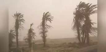 Senamhi advierte incremento de vientos en la costa: ¿qué consecuencias traerá en el clima de Lima?