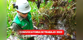 ¿Eres titulado y buscas trabajo? OEFA ofrece empleos con sueldos de hasta S/10.000 ¿Eres titulado y buscas trabajo? OEFA ofrece empleos con sueldos de hasta S/10.000