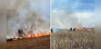 ¡Daño irreparable en el lago Titicaca! Voraz incendio arrasó con 2.150 hectáreas de totorales ¡Daño irreparable en el lago Titicaca! Voraz incendio arrasó con 2.150 hectáreas de totorales