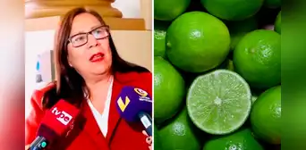 Ministra de Desarrollo Agrario y Riego ante alza del limón: "Usemos más sal, vinagre y limón Tahití"