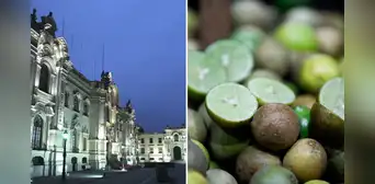 Informe revela que Palacio de Gobierno habría gastado miles de soles en limones de alta calidad Informe revela que Palacio de Gobierno habría gastado miles de soles en limones de alta calidad