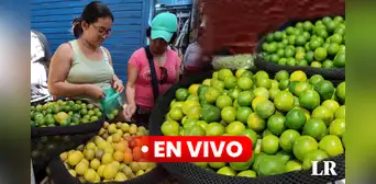 Precio del limón HOY, 8 de septiembre: cuánto cuesta el kilo en Lima y regiones del Perú