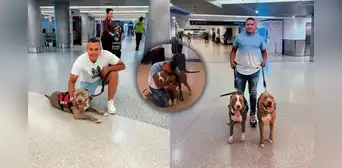 Migrante venezolano se rencuentra con sus mascotas tras 2 años separados Migrante venezolano se rencuentra con sus mascotas tras 2 años separados