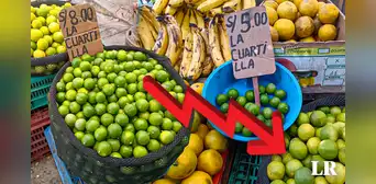 Precio del limón: ¿por qué está bajando ligeramente el costo del cítrico? Precio del limón: ¿por qué está bajando ligeramente el costo del cítrico?