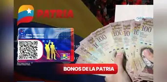 Bonos de la Patria: estos son los 4 subsidios que llegarán del 11 al 17 de septiembre 2023 Bonos de la Patria: estos son los 4 subsidios que llegarán del 11 al 17 de septiembre 2023