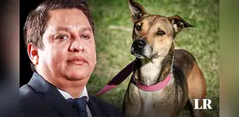 Ministro de Salud: “Quien maltrata a una mascota es capaz de maltratar a un ser humano” Ministro de Salud: “Quien maltrata a una mascota es capaz de maltratar a un ser humano”