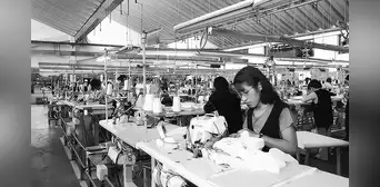 Menor inclusión financiera a la vista, por Kurt Burneo
