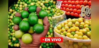 Limón HOY 14 de septiembre: cuánto cuesta el kilo en Lima y regiones del Perú