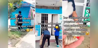 Veterinarios rescatan a perrito atropellado y vecinos de SJL hacen colecta para tratamiento: “Aplausos” Veterinarios rescatan a perrito atropellado y vecinos de SJL hacen colecta para tratamiento: “Aplausos”