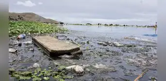 ¿Por qué el lago Titicaca podría convertirse en una 'cloaca'? ¿Por qué el lago Titicaca podría convertirse en una 'cloaca'?