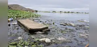 ¿Por qué el lago Titicaca podría convertirse en una 'cloaca'? ¿Por qué el lago Titicaca podría convertirse en una 'cloaca'?
