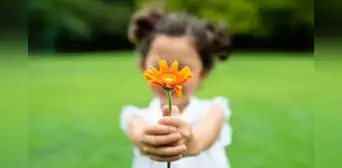 Frases cortas del Día de la Primavera: comparte lindas imágenes y celebra el mes de la juventud Frases cortas del Día de la Primavera: comparte lindas imágenes y celebra el mes de la juventud