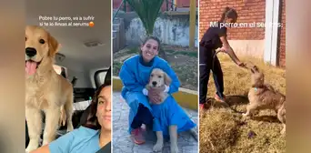 Joven se va al Serums junto con su perrito y causan sensación en redes: “La doctora y el dogtor” Joven se va al Serums junto con su perrito y causan sensación en redes: “La doctora y el dogtor”
