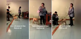 Profesora de la UNMSM llega con su perrito a dictar clase: “Firulais también quiere su título” Profesora de la UNMSM llega con su perrito a dictar clase: “Firulais también quiere su título”