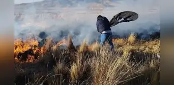 Puno: un muerto y 700 hectáreas calcinadas es saldo de incendio Puno: un muerto y 700 hectáreas calcinadas es saldo de incendio