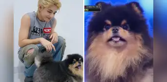 Taehyung de BTS y Yeontan sobre el escenario en Corea: emocionaron al ARMY en redes
