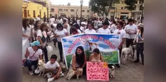 Protestan tras liberación de sujeto acusado de abusar de una perrita en Tumbes Protestan tras liberación de sujeto acusado de abusar de una perrita en Tumbes