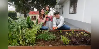 El club de los huertos caseros El club de los huertos caseros