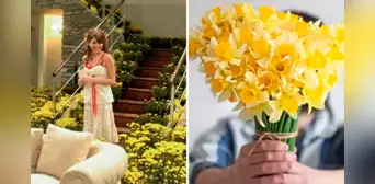 Revisa lo último que se muestra sobre cuándo regalar flores amarillas