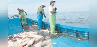 Produce avala legalizar más de 1.000 barcos en proceso caduco