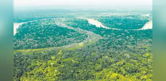 Perú canjea deuda externa con EE.UU. a cambio de conservación de bosques Perú canjea deuda externa con EE.UU. a cambio de conservación de bosques