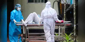 Virus Nipah: ¿qué es y cómo se contagia la enfermedad que reapareció en la India? Virus Nipah: ¿qué es y cómo se contagia la enfermedad que reapareció en la India?