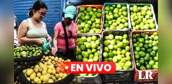 Precio del limón HOY miércoles 20 de septiembre: cuánto cuesta el kilo en Lima y regiones del Perú Precio del limón HOY miércoles 20 de septiembre: cuánto cuesta el kilo en Lima y regiones del Perú