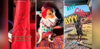 Perrito uruguayo visita el Perú y ahora es más peruano que la papa Perrito uruguayo visita el Perú y ahora es más peruano que la papa