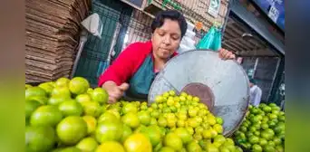 Precio del limón se ubica a la baja, según Midagri: ¿cuál es su costo en el mercado Mayorista de Lima?