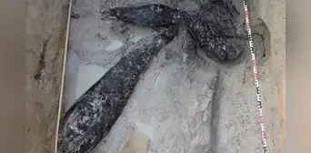 Encuentran una construcción de madera de 476.000 años, antes de los humanos