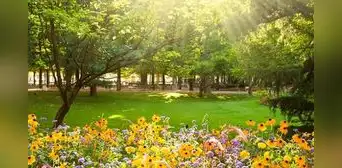 ¿Qué día inicia la primavera en el Perú, desde cuándo y por qué se celebra?