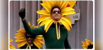 Usuarios invaden las redes sociales con hilarantes memes de las famosas flores amarillas Usuarios invaden las redes sociales con hilarantes memes de las famosas flores amarillas