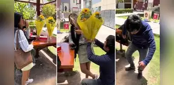 Universitaria de Arequipa fue sorprendida con 3 ramos de flores amarillas: “Presta uno al menos” Universitaria de Arequipa fue sorprendida con 3 ramos de flores amarillas: “Presta uno al menos”