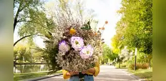 ¿Por qué el Día de la Primavera y la Juventud se celebra cada 23 de setiembre? ¿Por qué el Día de la Primavera y la Juventud se celebra cada 23 de setiembre?