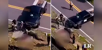 Capturan y matan a un cocodrilo de 4 metros que cargaba un cuerpo humano en plena calle Capturan y matan a un cocodrilo de 4 metros que cargaba un cuerpo humano en plena calle