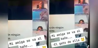 Estudiante se va al baño y su gato la reemplaza en clase virtual: “Está tomando nota hasta que vuelva” Estudiante se va al baño y su gato la reemplaza en clase virtual: “Está tomando nota hasta que vuelva”