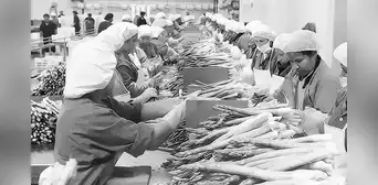 Economía social de mercado: entre lo formal y real, por Kurt Burneo