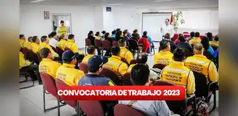 Municipalidad de San Miguel ofrece 101 empleos con pagos de hasta S/6.000: requisitos y cómo postular AQUÍ