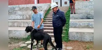 Surco: familia se reencuentra con Figo, su perrito perdido durante 4 años Surco: familia se reencuentra con Figo, su perrito perdido durante 4 años