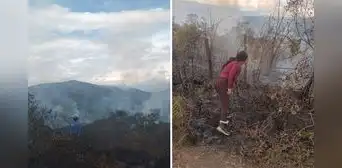 Incendio forestal lleva 3 días activo y ha consumido casi 80.000 hectáreas en Piura Incendio forestal lleva 3 días activo y ha consumido casi 80.000 hectáreas en Piura