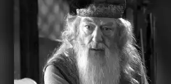 Muere el actor Michael Gambon a los 82 años, el famoso Albus Dumbledore de 'Harry Potter' Muere el actor Michael Gambon a los 82 años, el famoso Albus Dumbledore de 'Harry Potter'