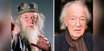 ¿De qué murió Michael Gambon, el actor que interpretó al recordado Dumbledore en 'Harry Potter'? ¿De qué murió Michael Gambon, el actor que interpretó al recordado Dumbledore en 'Harry Potter'?