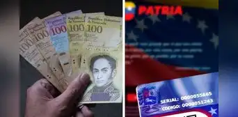Bono de la patria: ¿cómo registrar una cuenta bancaria y traspasar los montos?