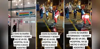 Perrito pasa 2 días afuera de hospital de Lima esperando que salga su dueño: “El verdadero amigo fiel” Perrito pasa 2 días afuera de hospital de Lima esperando que salga su dueño: “El verdadero amigo fiel”