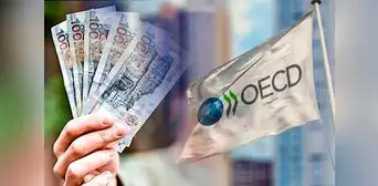 OCDE propone que el salario mínimo en el Perú sea diferenciado por edad o región