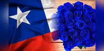 ¿Por qué se regalan flores azules en Chile y cuándo debes entregarlas? ¿Por qué se regalan flores azules en Chile y cuándo debes entregarlas?