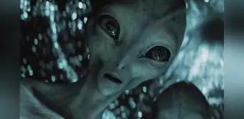 'Nadie podrá salvarte': la terrorífica película de aliens y sin diálogos para ver online por Star Plus 'Nadie podrá salvarte': la terrorífica película de aliens y sin diálogos para ver online por Star Plus