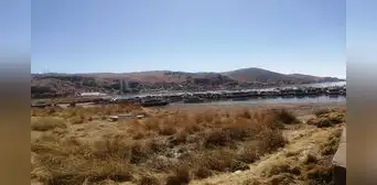 Puno: el 84% de totorales de las áreas protegidas del lago Titicaca se secaron Puno: el 84% de totorales de las áreas protegidas del lago Titicaca se secaron